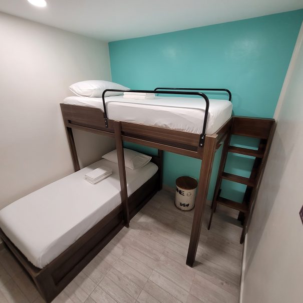 tree hive guest house