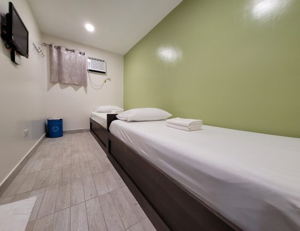 tree hive guest house