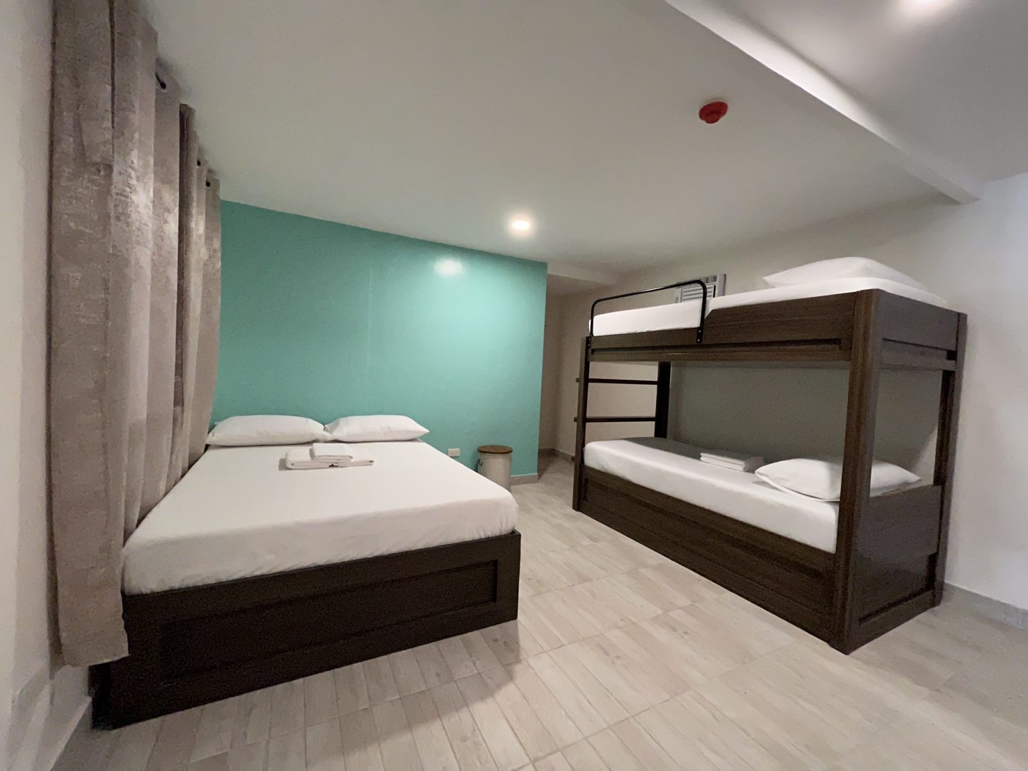 tree hive guest house