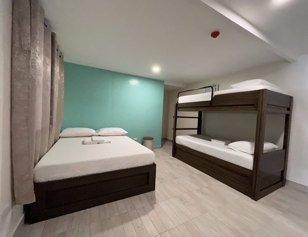 tree hive guest house