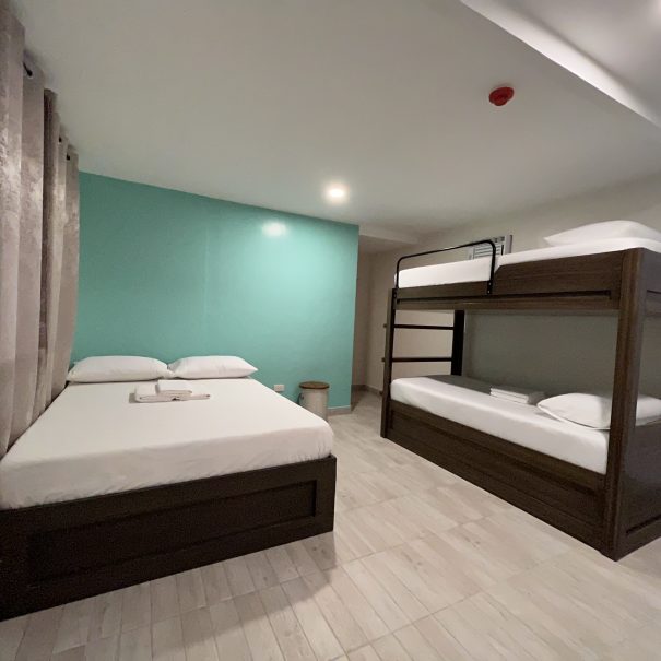 tree hive guest house